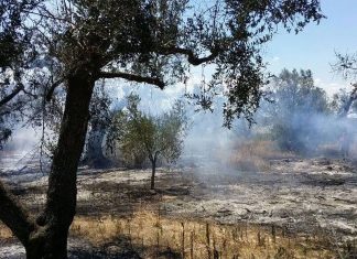 Incendi, da Martano un progetto per coinvolgere i proprietari terrieri