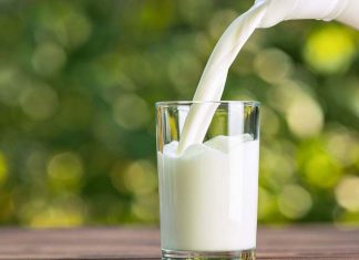 Al latte pugliese saltano i conti. La Coldiretti denuncia lo stato di crisi del settore