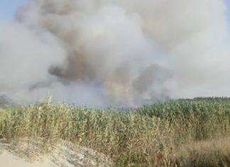 Aria irrespirabile a Brindisi, il sindaco Rossi ai cittadini: «Segnalate all’Arpa i luoghi degli incendi»