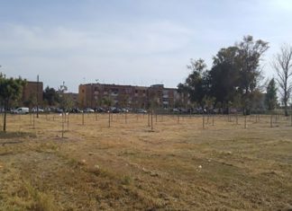 Taranto, una nuova vision per la strategia del verde urbano