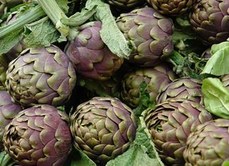 Carciofi brindisini: prezzi stracciati, speculazioni e import selvaggio da Tunisia ed Egitto
