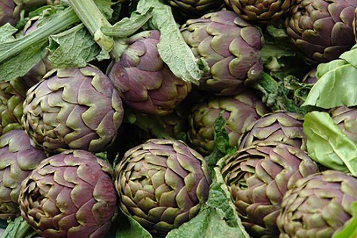 carciofi-brindisini