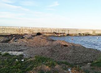 Darsena di Lecce, Forum: «No allo smaltimento in discarica della posidonia. Sentire l’Arpa»