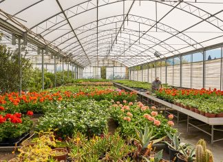 Energia: si spengono serre fiori e piante con +95% costi. È allarme per invasione dall’estero
