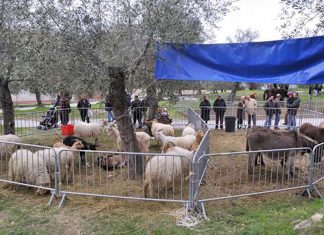Martano, prende il via la 25ma edizione della Fiera-mercato della Candelora