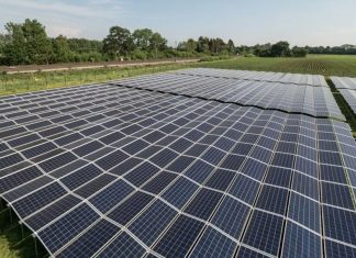 Rinnovabili: fotovoltaico sì, ma non a scapito dell’agricoltura