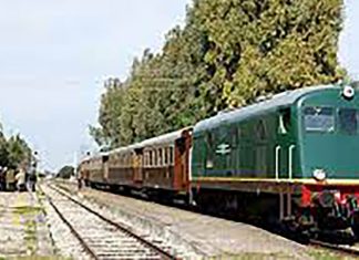 Salento Wine Train, in treno tra le cantine di Brindisi, Lecce e Taranto