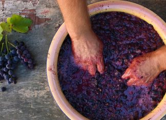 L’altra Calabria, dove si produce il vino “Acroneo” come ai tempi di greci e romani
