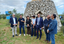 “Olivami”, al “Giardino Mapei” di Martano l’impegno contro la Xilella
