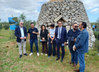 “Olivami”, al “Giardino Mapei” di Martano l’impegno contro la Xilella