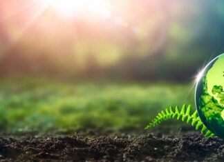 Giornata mondiale dell’Ambiente, la Terra è casa nostra… salviamola!