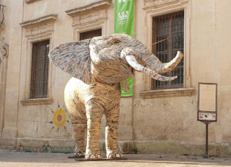 L’elefante dell’Accademia